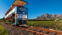Stellenbosch&Franschhoek wineTasting Private Tour From Cape Town 