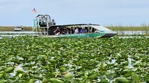 Everglades Alligator Airboat Tour with Bus transfer from Miami