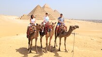 Full Day Private Tour from El Gouna to Cairo Egypt 