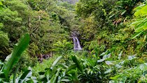 VIP Private Full-Day Road to Hana Tour from Wailea - Kihei