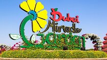 Dubai Miracle Garden 