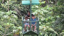 Aerial Tram & Sloth Sanctuary in the Rainforest