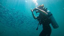 Discover SCUBA Diving in Beautiful Unawatuna Bay