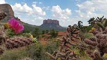 Private Sedona Day Trip from Phoenix or Scottsdale