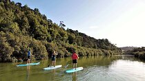 2-Hour Stand-Up Paddle Boarding Tour to Lucas Creek Waterfall