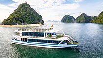 Halong Bay Luxury Cruise Day trip: Buffet lunch, limousine bus