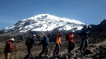 5 Days Climbing Mount Kilimanjaro Marangu Route