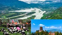 Dujiangyan irrigation+Mt. Qingcheng or Panda Park Day Tour