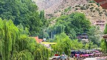 From Marrakech: Ourika Valley, Atlas, Waterfalls & Guide