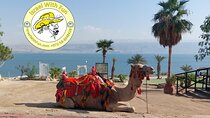Holy Jerusalem and Dead Sea Private Tour
