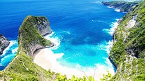 From Bali: Nusa Penida Private Day Tour - All Inclusive