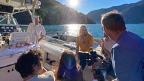 3H Hour Private Cruise on Lake Como by Motorboat 10 PAX
