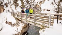Half Day Marble and Johnston Canyon Ice Walk Combo Tour