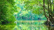 Can Gio Mangrove Forest 1 day tour