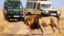 4 days Awesome Luxury safari Tarangire Serengeti & Ngorongoro 