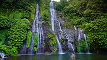 Private Waterfalls Tour in North Bali
