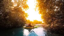 Mangrove Kayaking Abu Dhabi