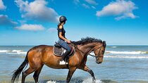 One-Hour Beach Horse Riding with Transfer from Hurghada