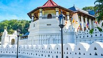 Kandy Day trip from Kalutara Beruwala Bentota Aluthgama Wadduwa