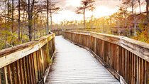 Everglades Immersion Tour: The Ultimate Everglades Adventure