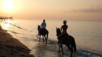 Horse back Riding in Antalya