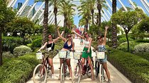 Bike Grand Valencia Group Tour