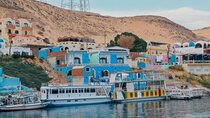 From Aswan: Nubian Museum and village tour with tour guide