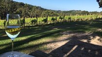 Swan Valley Wine Discovery: Private Tour from Perth