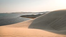 Qatar Stopover Desert Safari "Sunrise to Sunset".