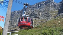 Private Tour: Table Mountain Boulder's Beach Penguin Cape Point 
