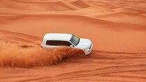 Dubai Red Dunes Safari with Live Show and BBQ Dinner