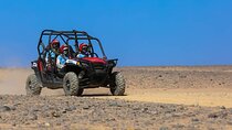 Buggy Car Safari Adventure from Marsa Alam