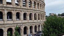 Colosseum, Roman Forum and Palatine Hill Private Tour