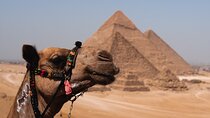 Pyramids and Egyptian Museum - Cairo Tour