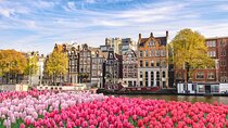 Full Day Private Shore Tour in Amsterdam from Amsterdam Port