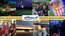 Kuala Selangor Fireflies - Batu Caves Temple- Malawati Hill DayTour With Dinner 