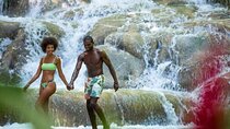 Bob Marley Culture and Dunn's River Falls Experience Montego Bay 