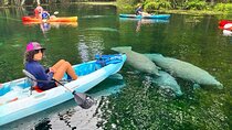 Silver Springs Kayak Rental - The Best Florida Adventure