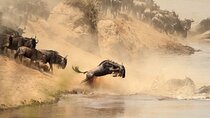7-Day Private Tour in Uganda and Kenya Safari