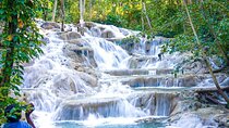 Private Dunn River Falls and Park Tour from Montego Bay