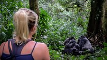 Multi Day Private Gorillas and Chimpanzee Trekking Tour in Uganda