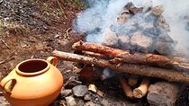 Therapeutic Temazcal: Harmony and Rebirth in the Forest