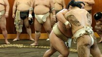 Sumo Training Watching Experience in Tokyo