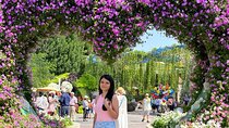 Dubai Miracle Garden Entry Tickets with Optional Transportation