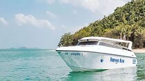 Private Speed Boat Phi Phi and Bamboo Islands 