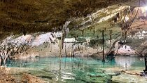Cenotes Taak Bi Ha & Nicte Ha – VIP Snorkeling Private Tour