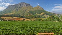 Full Day Winelands Tour