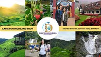 Private Full-Day Cameron Highlands Nature Tour from Kuala Lumpur