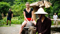 Ninh Binh eco group tour - Buffalo riding, rice planting, fishing