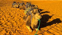 3-Days Desert Tour to Merzouga Dunes